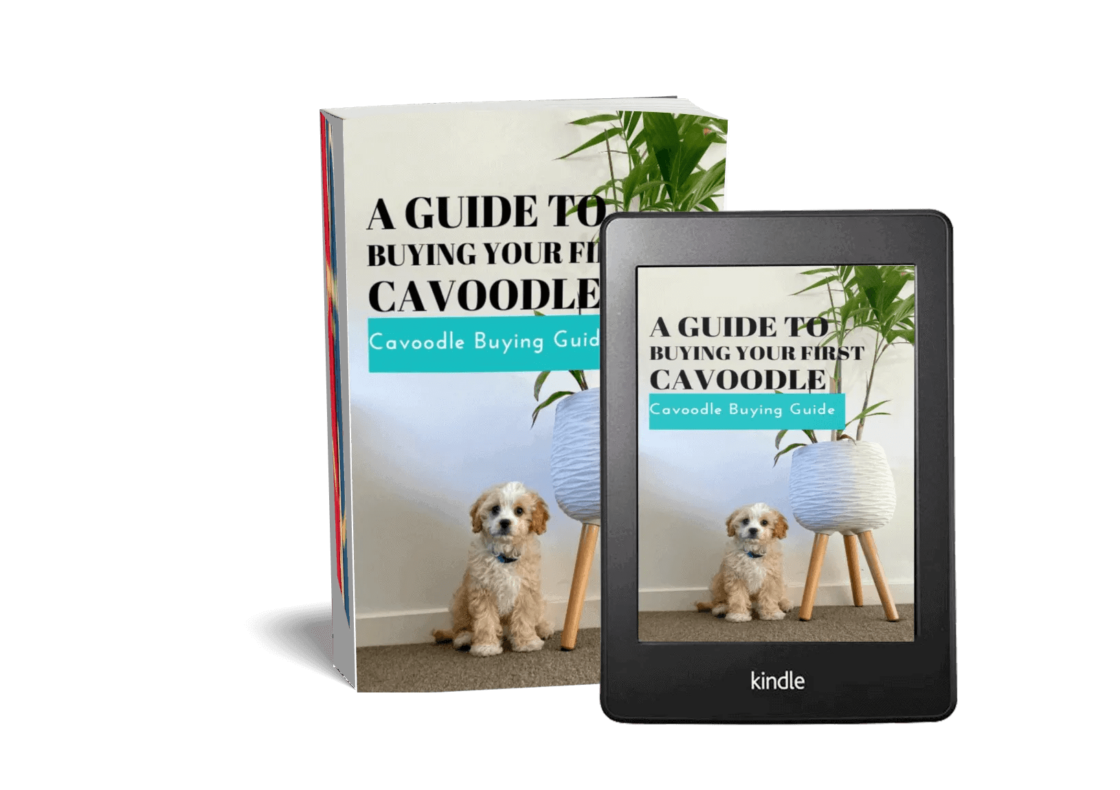 What Does Designer Dog Mean