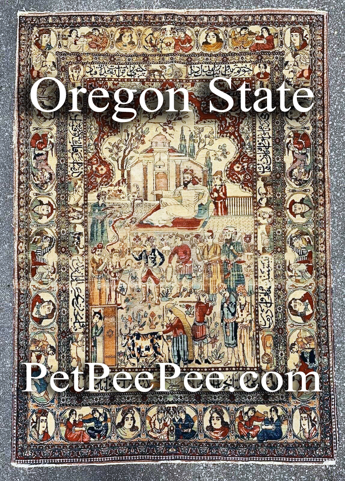 How On Antique Persian Carpet Should Be Clean From Pet Urine