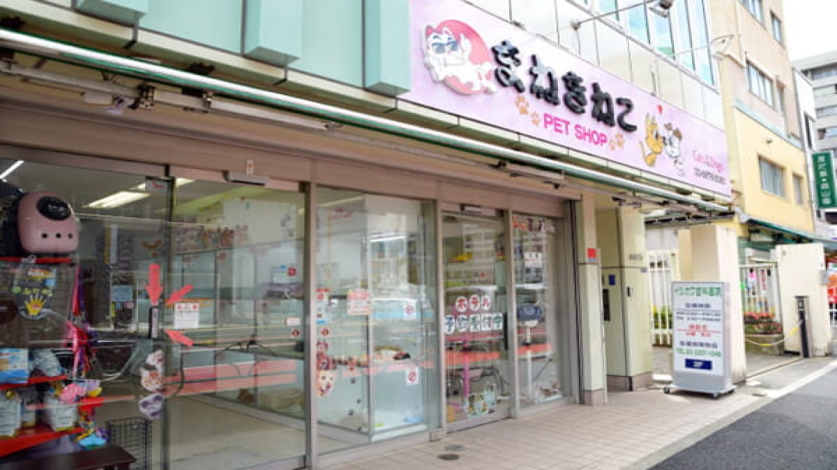 新宿区でおすすめのトリミング/ペットサロン【6選】口コミ掲載 PETPET LIFE