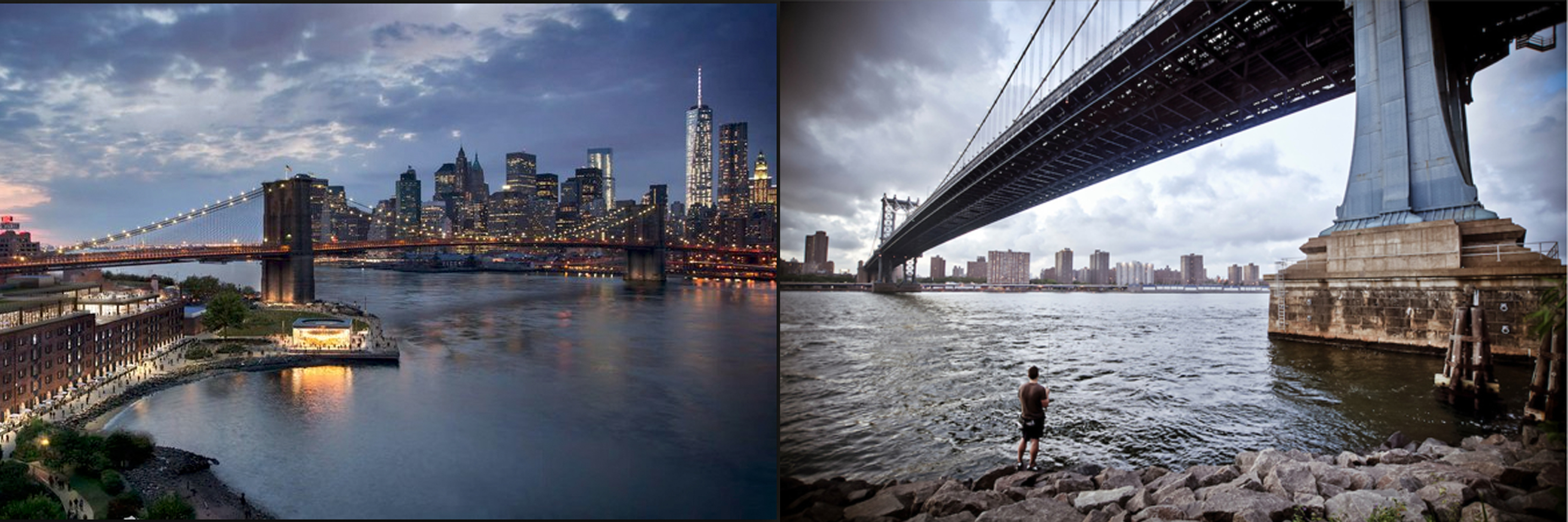 My Studio Pet Photography in New York City