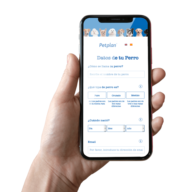 Petplan Nº 1 Mundial en Seguros para Perros Seguro de Salud para Perros