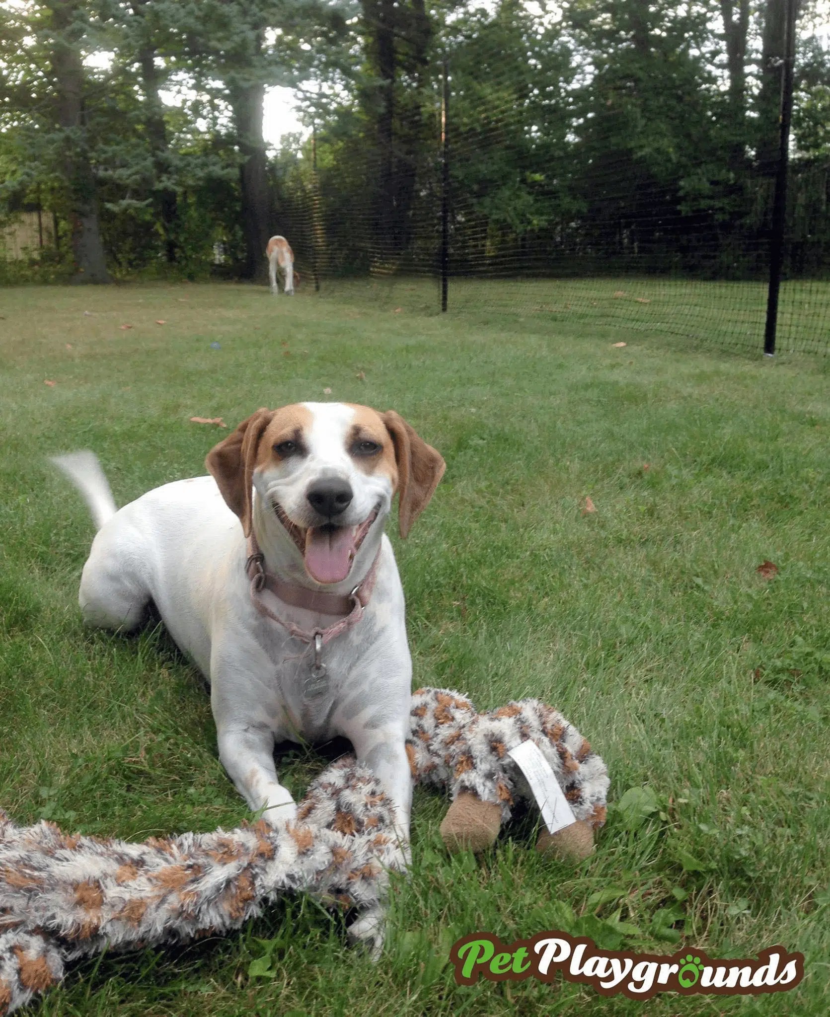Secure DIY NonElectric Dog Fence Systems