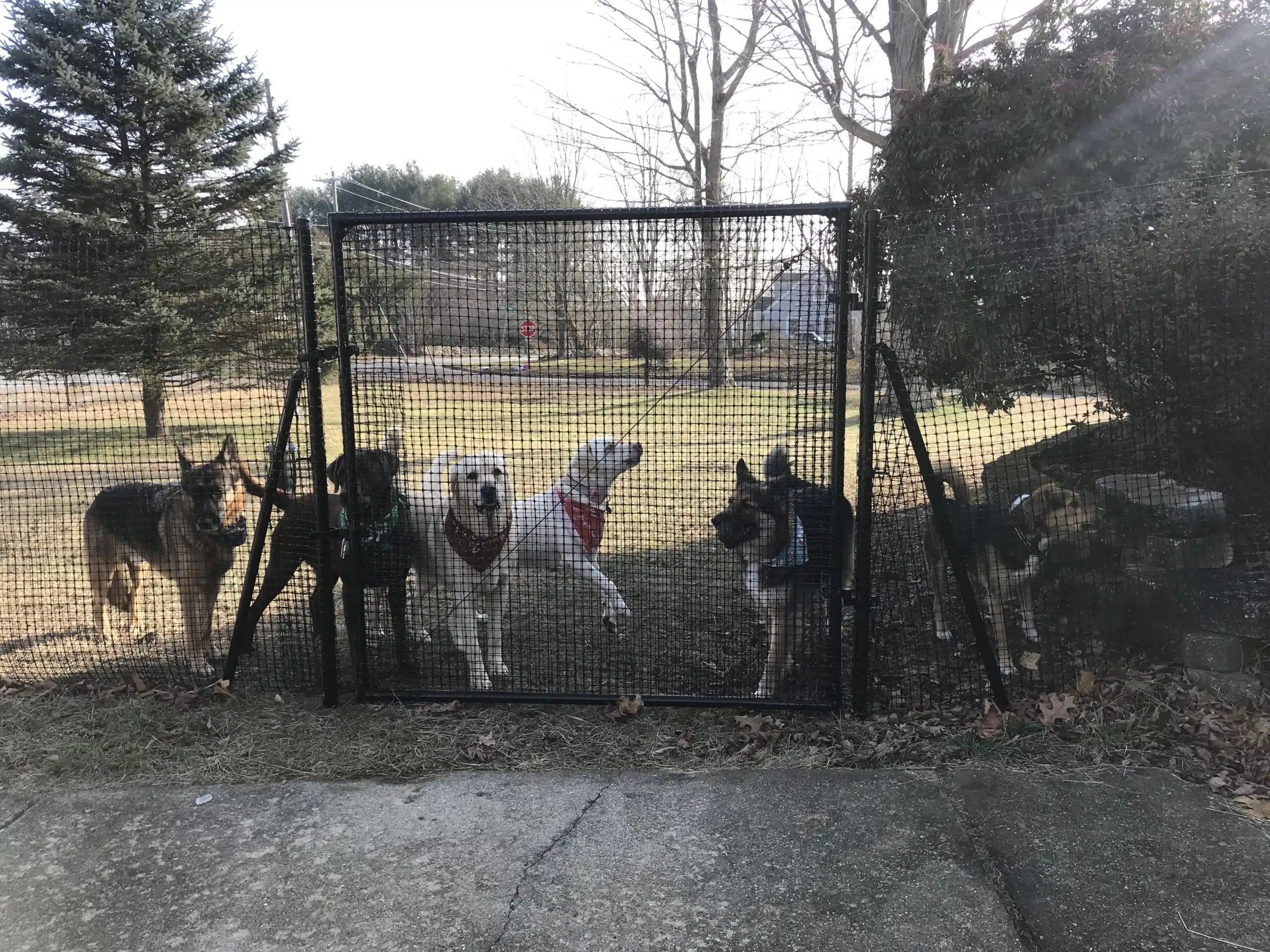Secure DIY NonElectric Dog Fence Systems