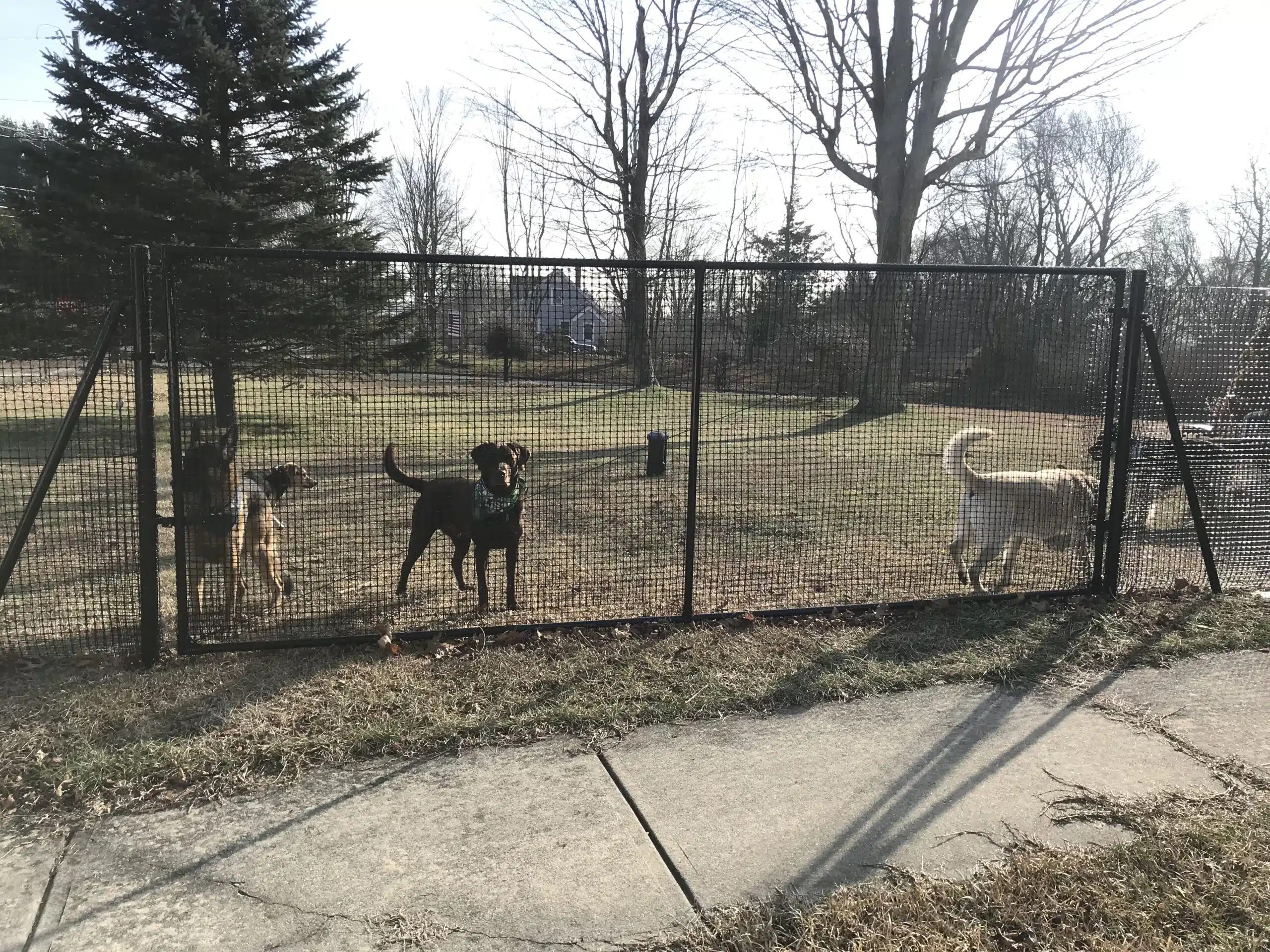Secure DIY NonElectric Dog Fence Systems