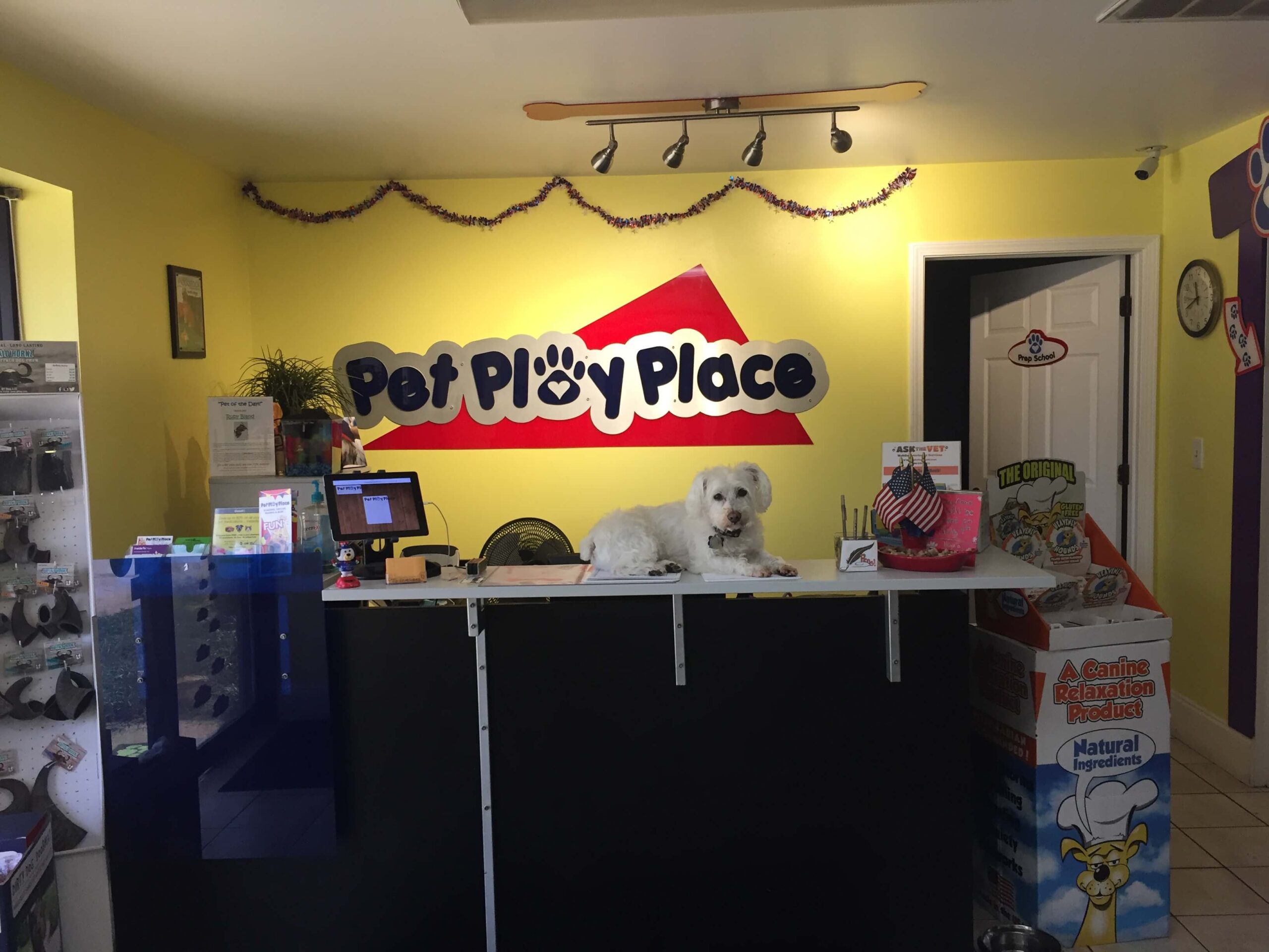 Gallery Pet Play Place LLC