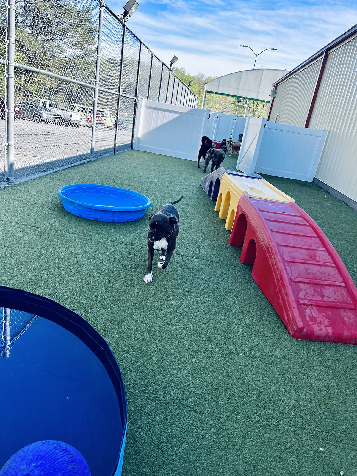 Gallery Pet Play Place LLC