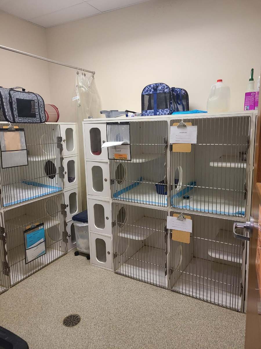 Pet Boarding In Buckeye Lake, OH 43008 Petplex Animal Hospital