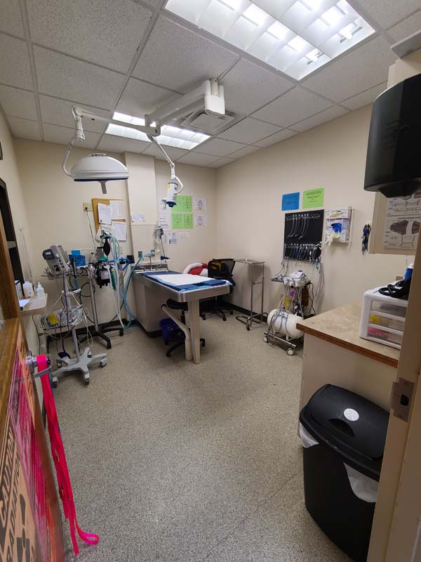 Petplex Animal Hospital Tour Vet Clinic In Buckeye Lake, Ohio