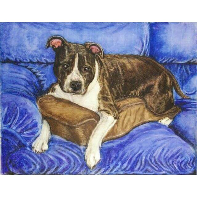 Colored Pencil Pet Portrait Artist Tim McIntire