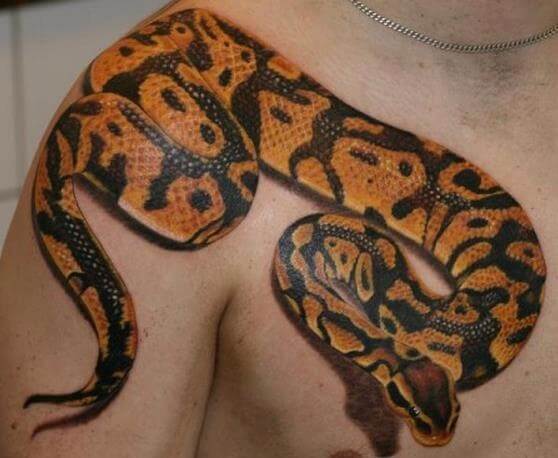 16 Best Python Tattoo Design Ideas PetPress