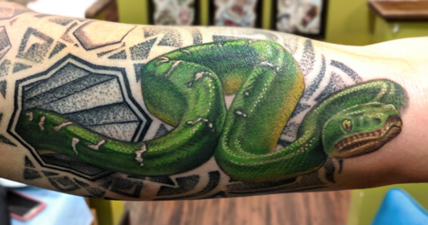 16 Best Python Tattoo Design Ideas PetPress