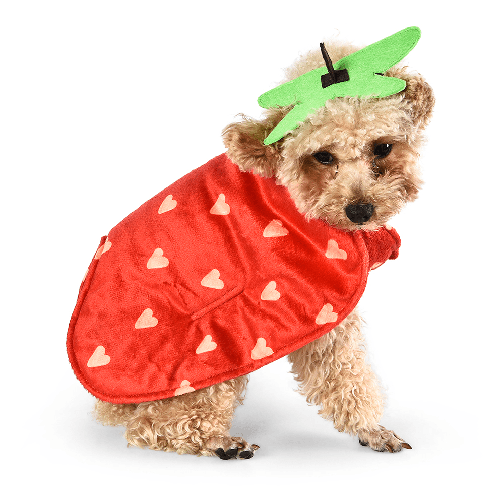 Cute Small Dog Clothes Winter Red Dog Apparel Petstar