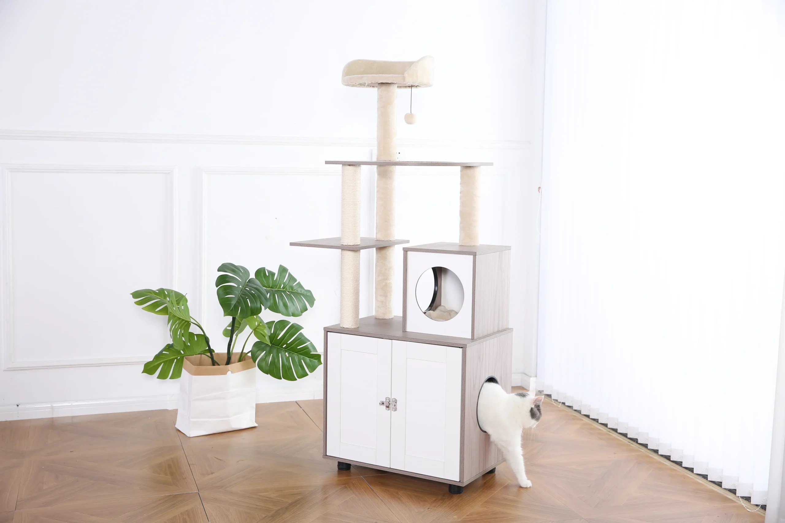 Cat Tree Procurement How to Choose a Cat Tree Petstar