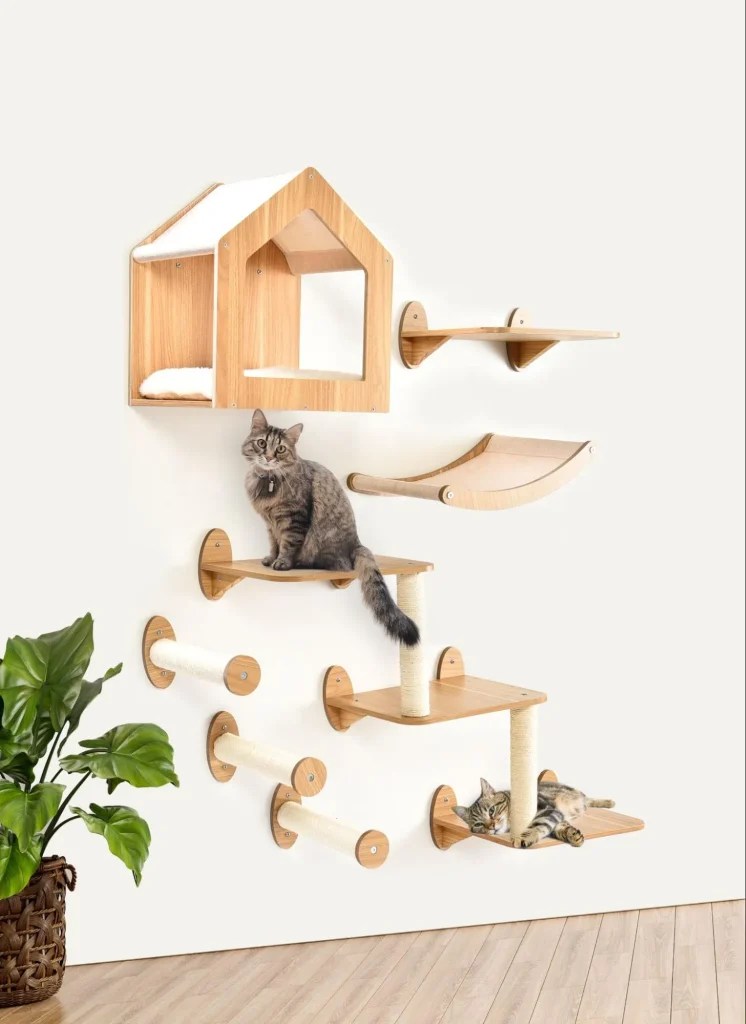 How to Choose the Right Cat Tree? Petstar