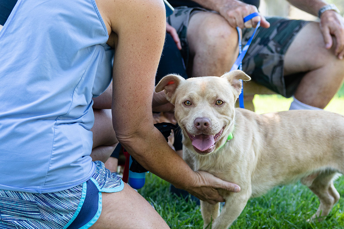 Pet Project Foundation Rescue Partner with San Clemente Animal Shelter