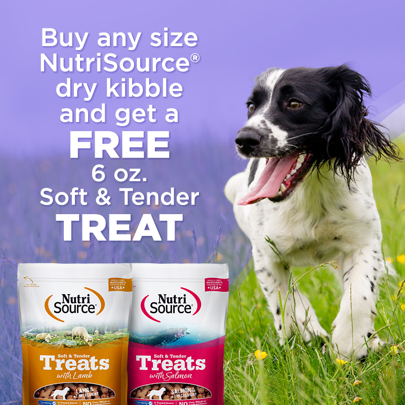 November 2021 Special Offers Pet Pros