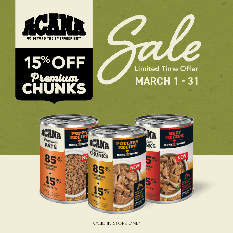 March 2022 Special Offers Pet Pros