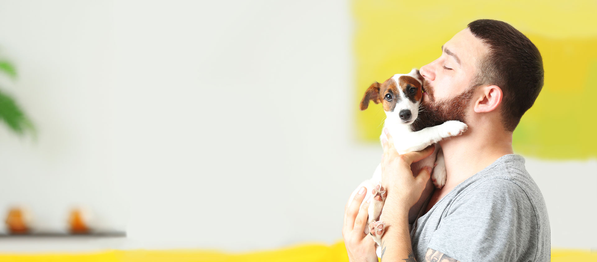 Pet Pulse Best Pet Products