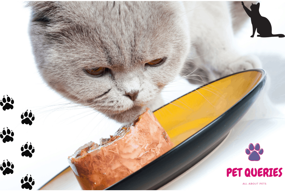 Can cats eat porkCan cats eat raw pork/pork loin/ground pork? Pet