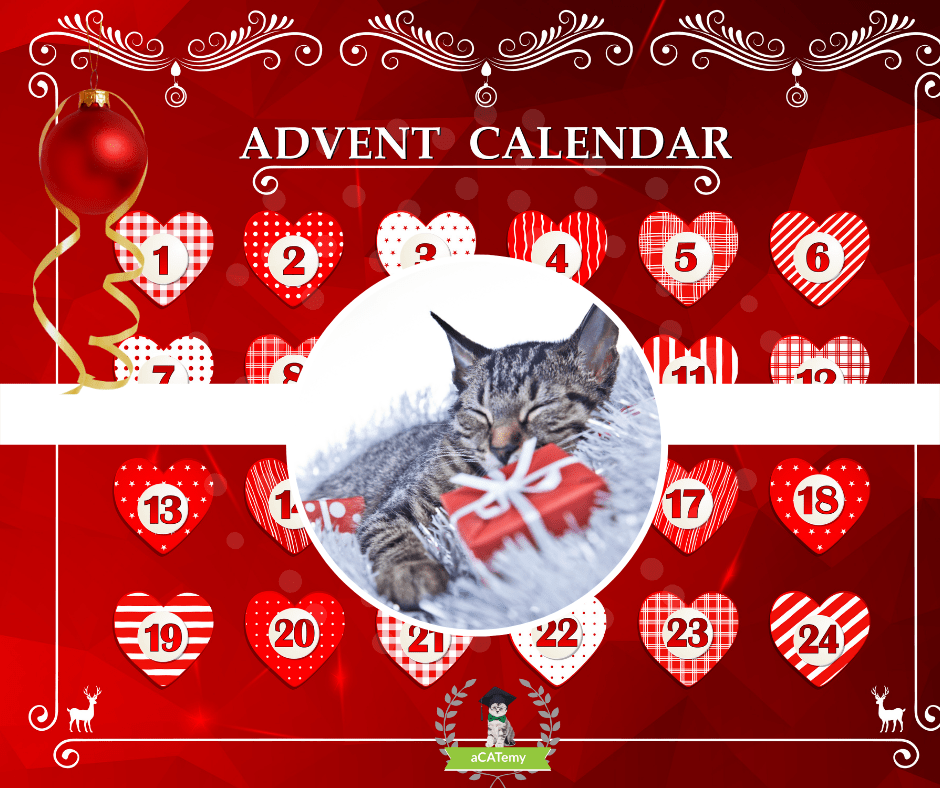 Adventskalender 2021 Petra Ott KatzenErlebniswelt