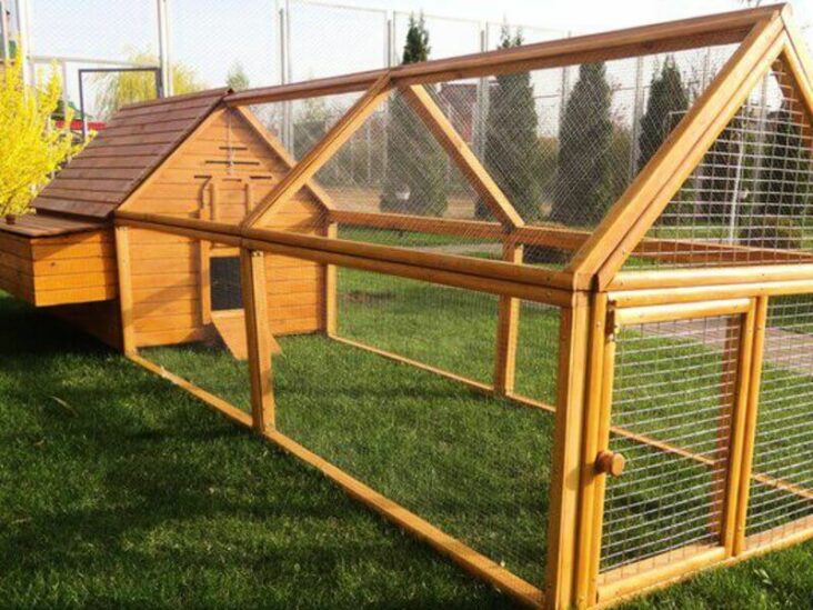 Build a Chicken Coop Location, Size and Equipment Pet Reader