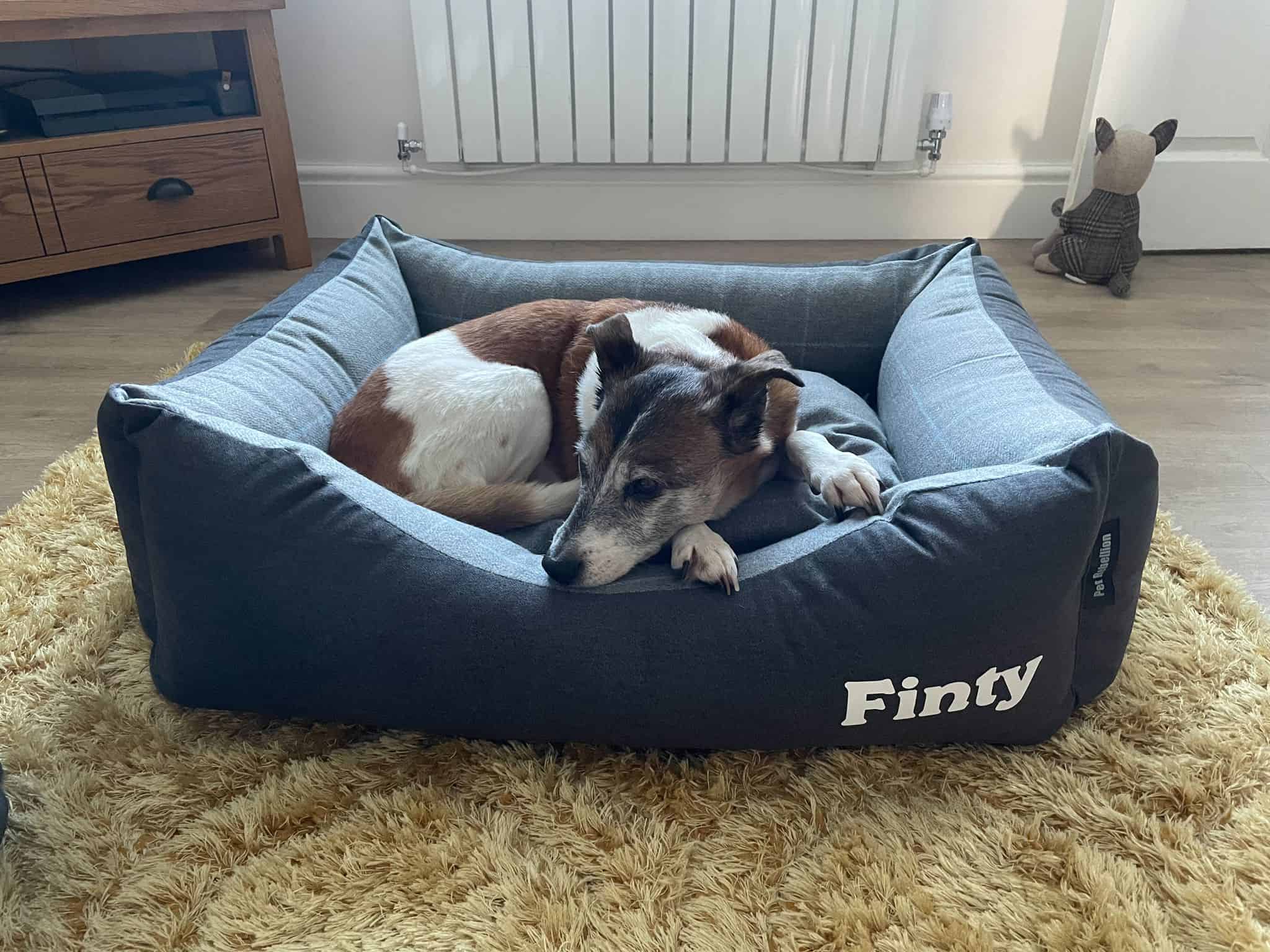 Personalised Dog Beds Pet Rebellion