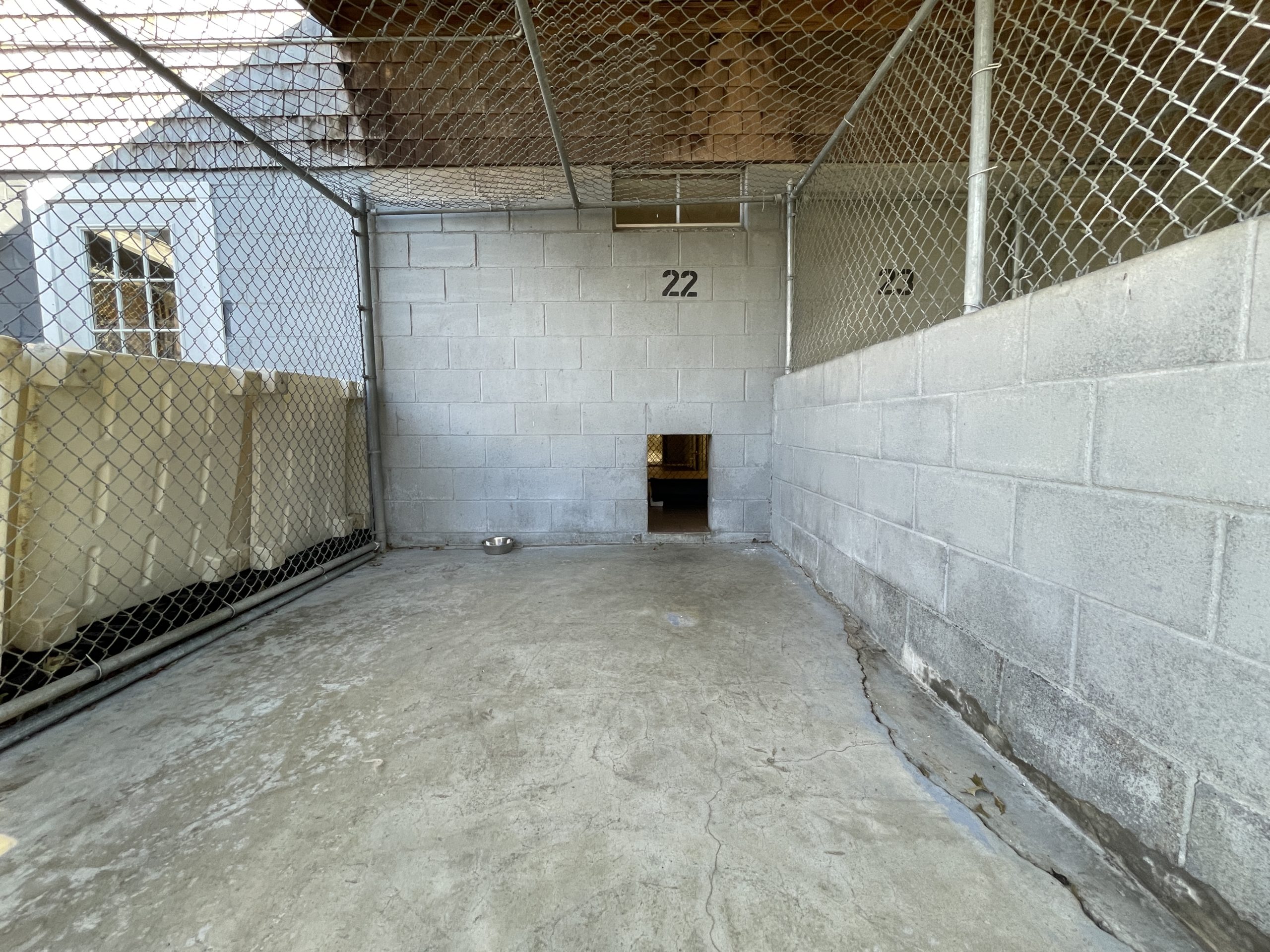 Dog Boarding Services in MA Petrecess