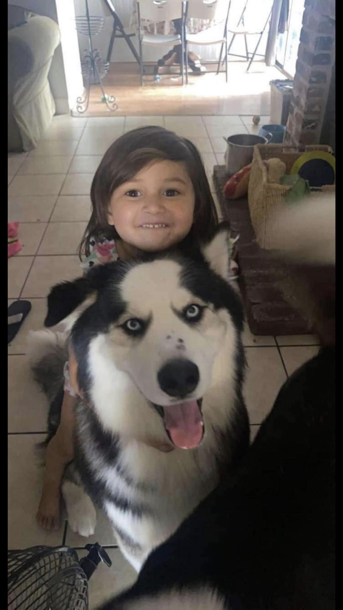 Family in Lodi accuse police of using a taser on their dog and killing