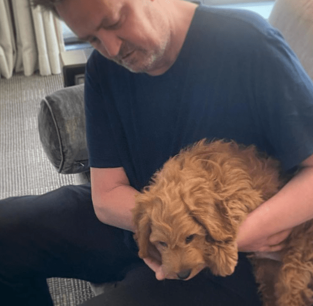 UPDATE Matthew Perry's dog Alfred will remain with exfiancée Pet