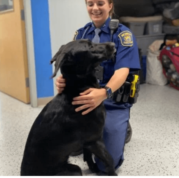 Michigan State Police trooper adopts stray dog she rescued making our
