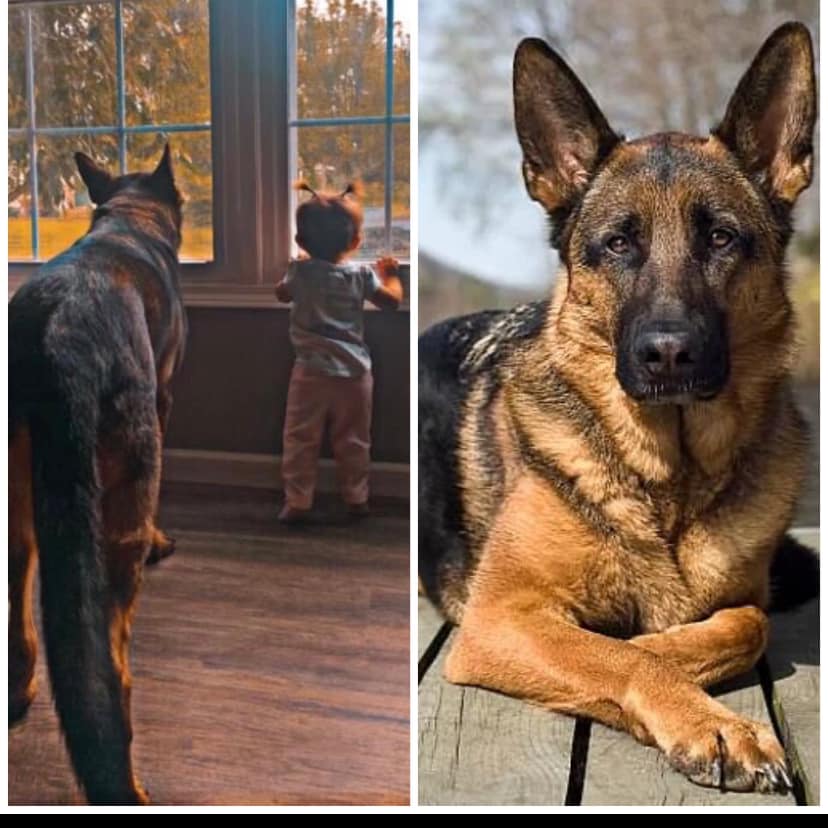 Police department refuses 10K offer by former officer to purchase