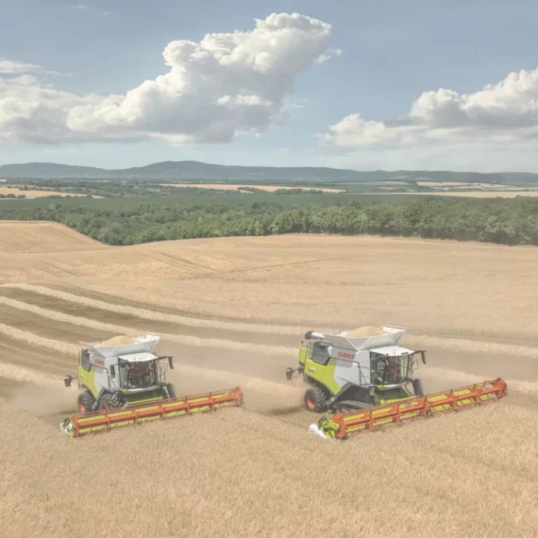 Home Petrokhlebkuban llc