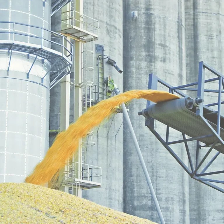 Home Petrokhlebkuban llc