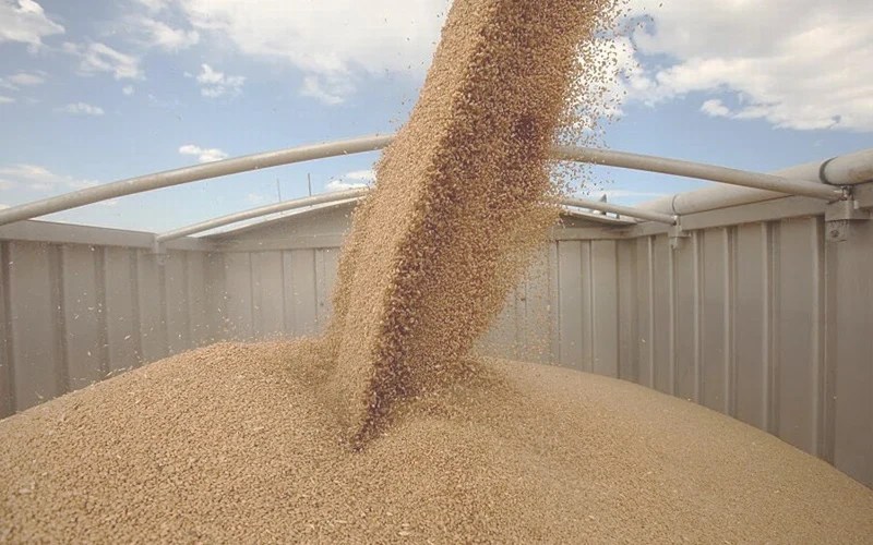 Логистика ПетрохлебКубань