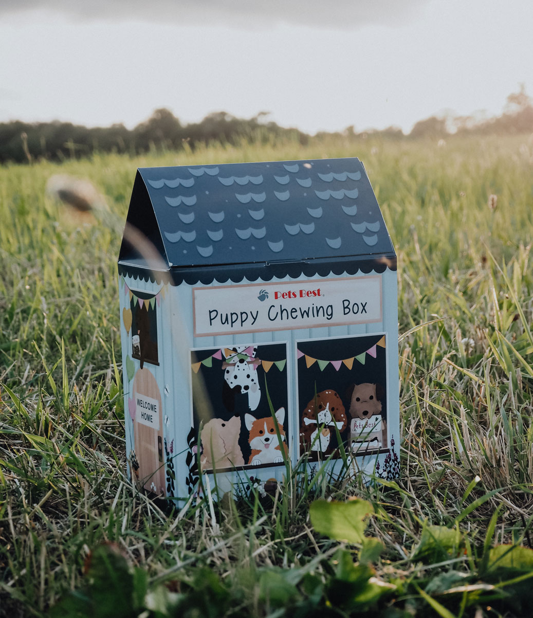 Best chew treats for puppies in our Puppy Chewing Box PETS BEST