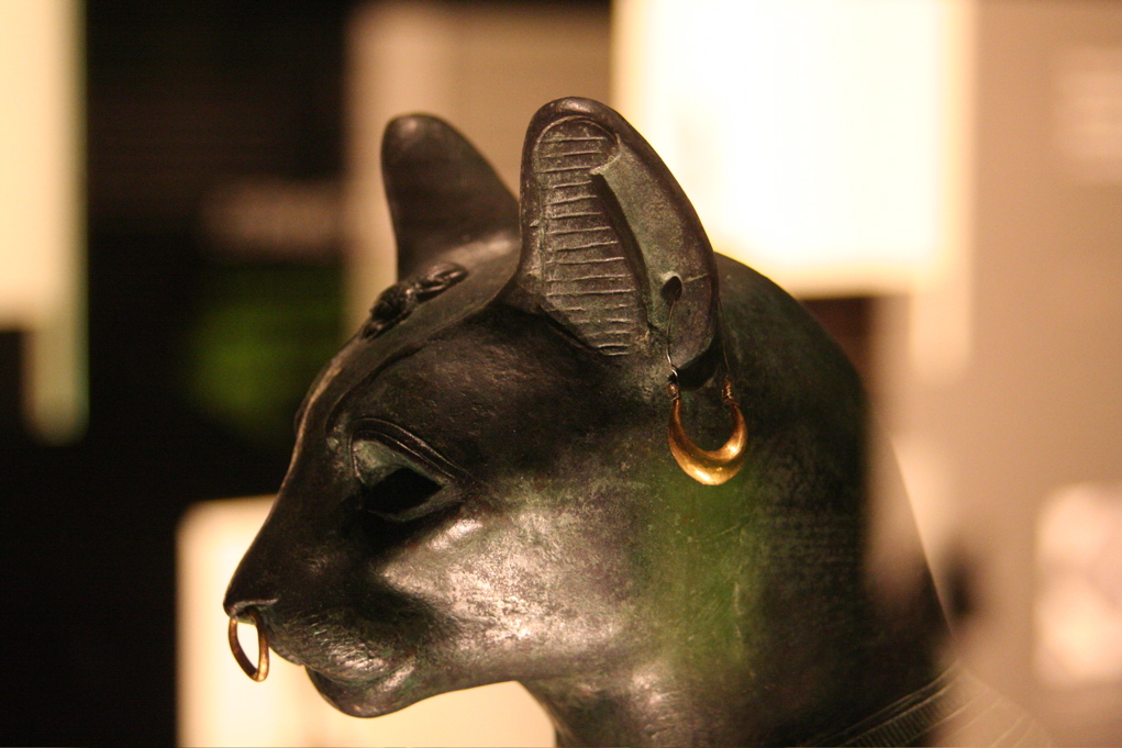 Cats in ancient Egypt PetsWiki