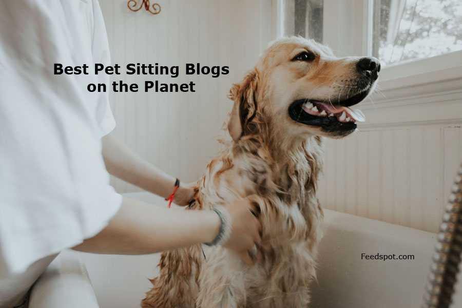 40 Best Pet Sitting Blogs & sites in 2024