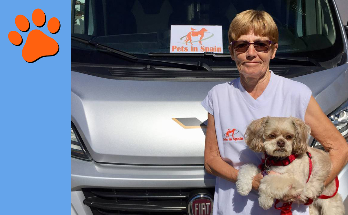 Pets in Spain, Cats and Dogs Rehoming Charity, La Marina Alicante Spain