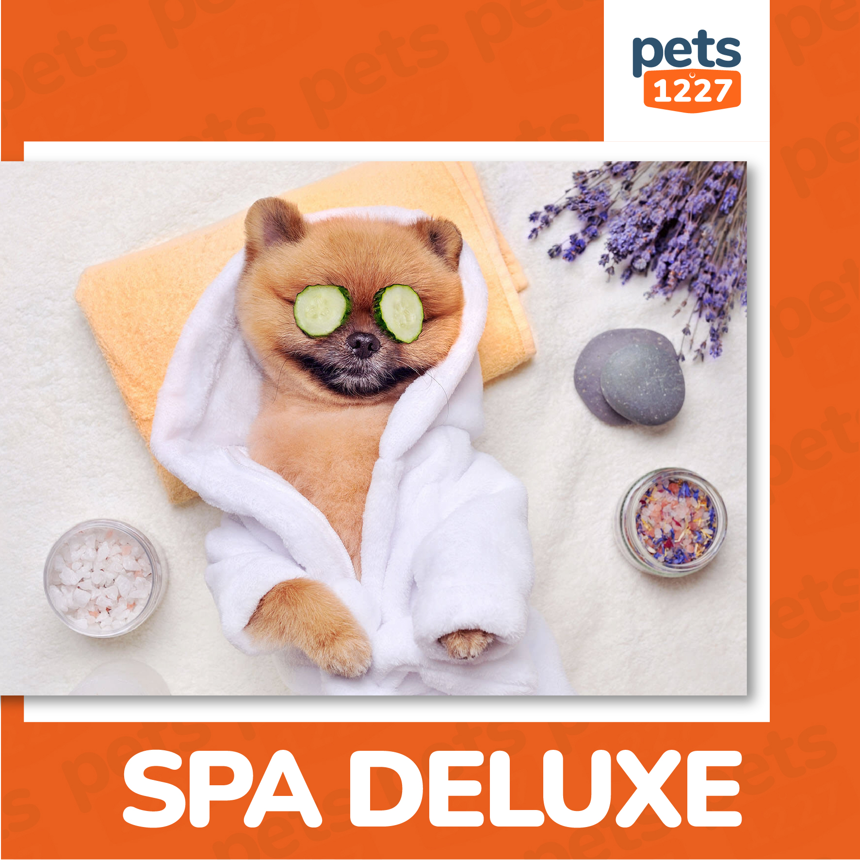 Dogs Spa Deluxe Pets 1227