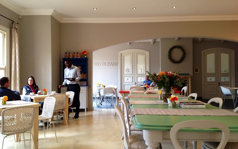 Fun PetFriendly Things to Do in Pretoria Pets24