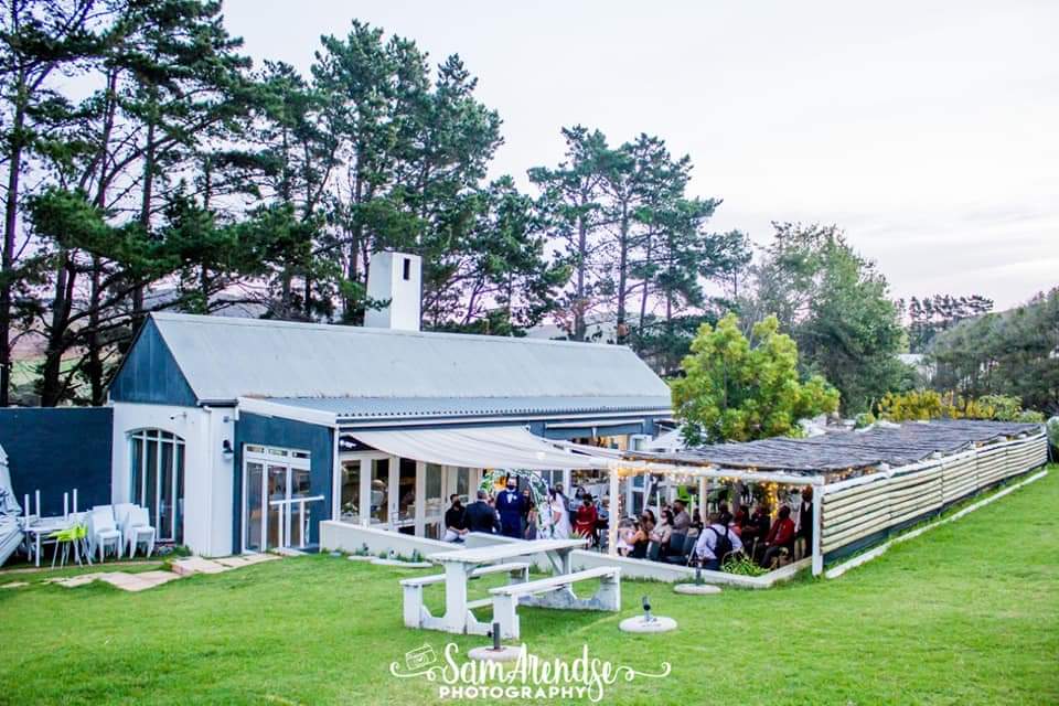 Petfriendly Activities Spring/ Summer Pets24