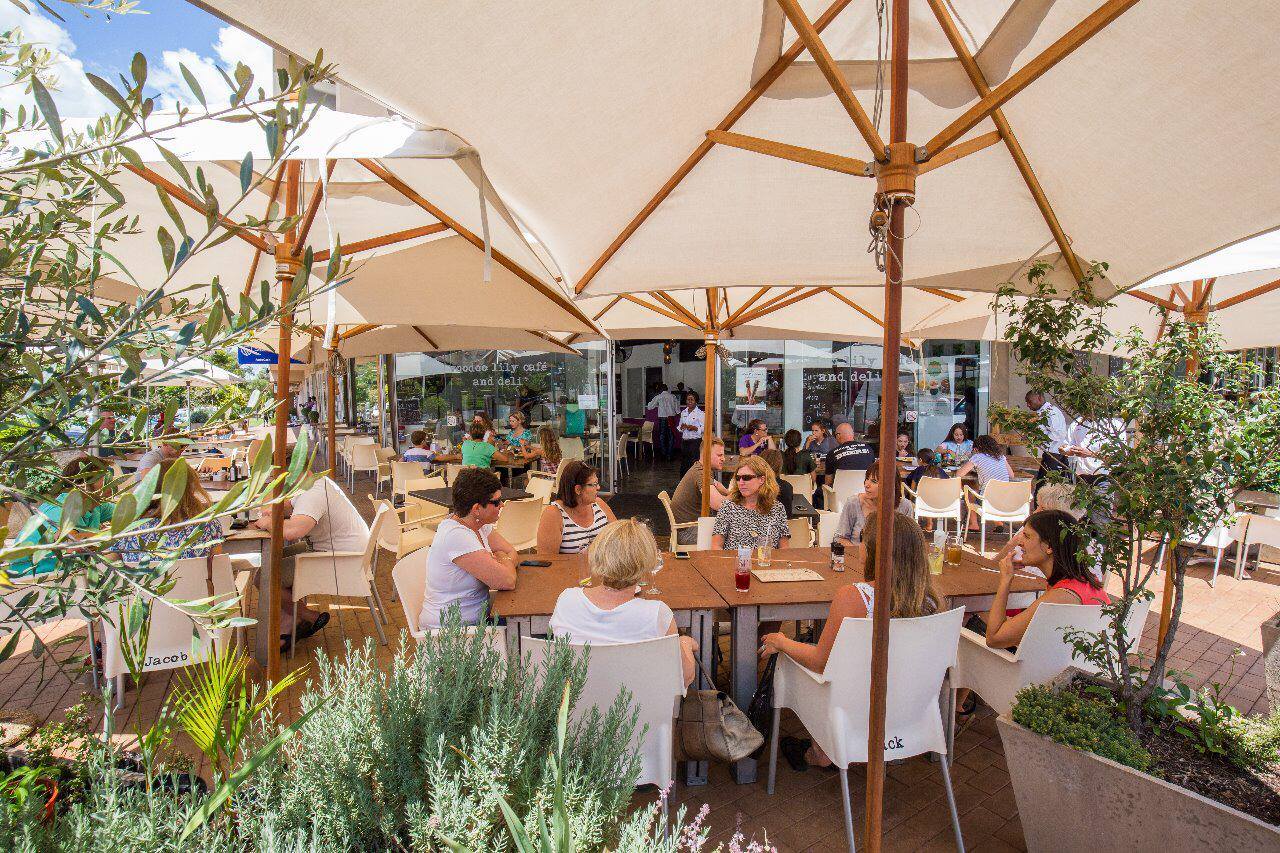 Fun PetFriendly Things to Do in Johannesburg Pets24