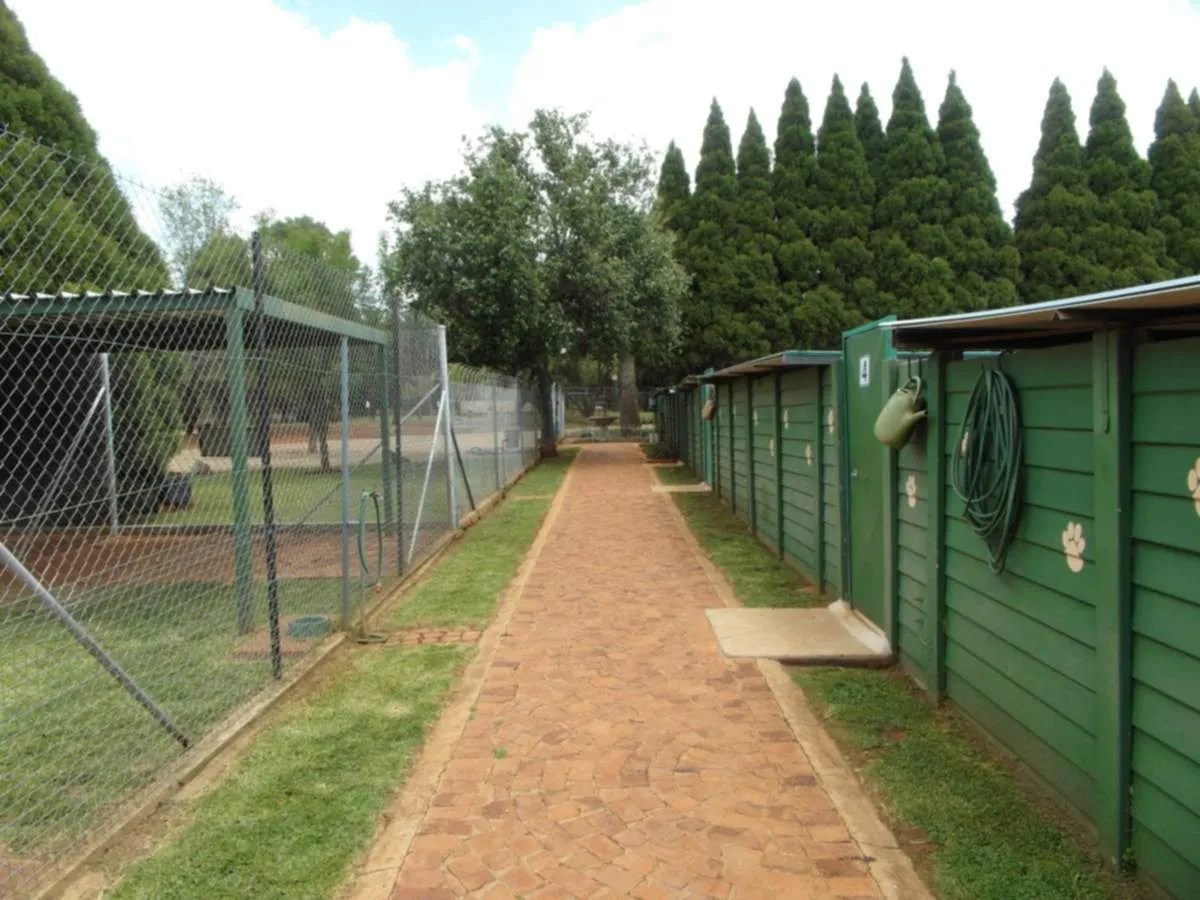 Dog Kennels in Gauteng for Your Beloved Pets Pets24