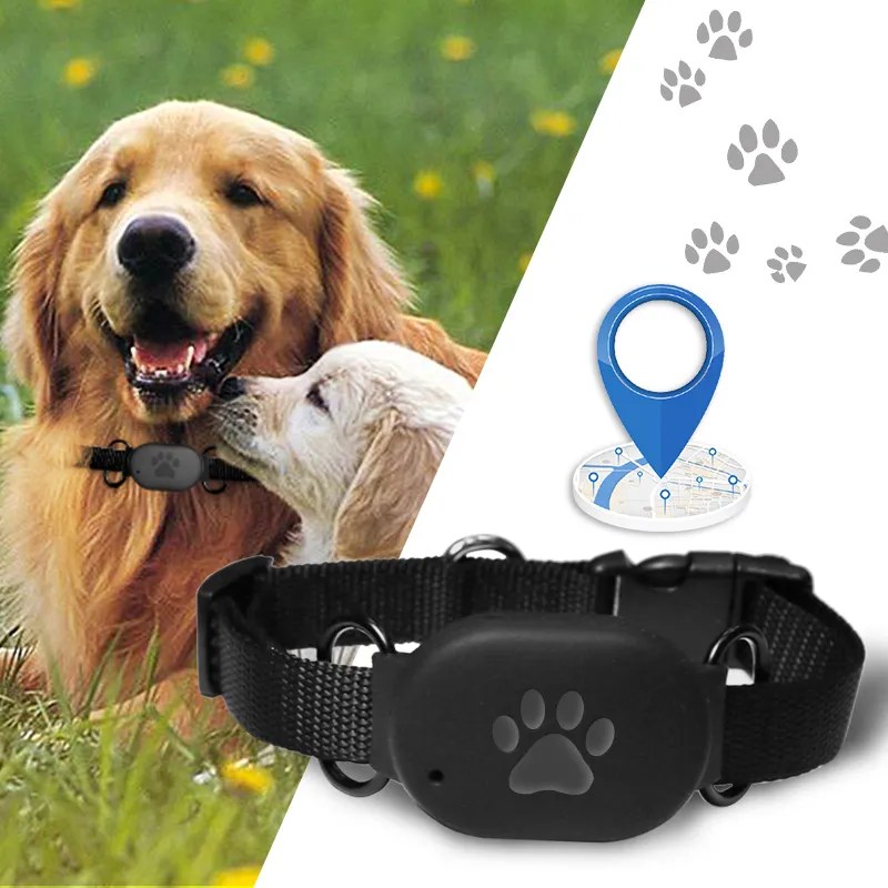 Exploring the World of Pet GPS Trackers Pets24