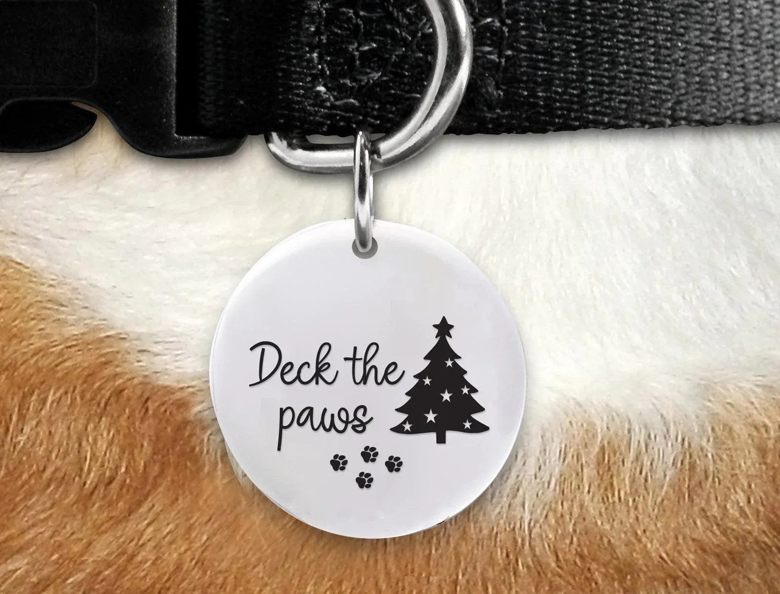 Ideas For Creative Dog Tags Pets24