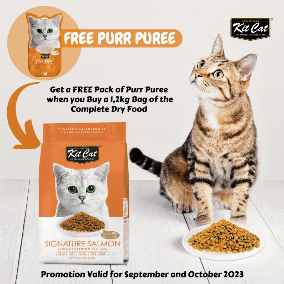 Unleash Savings and Flavor with These September Cat Food Specials