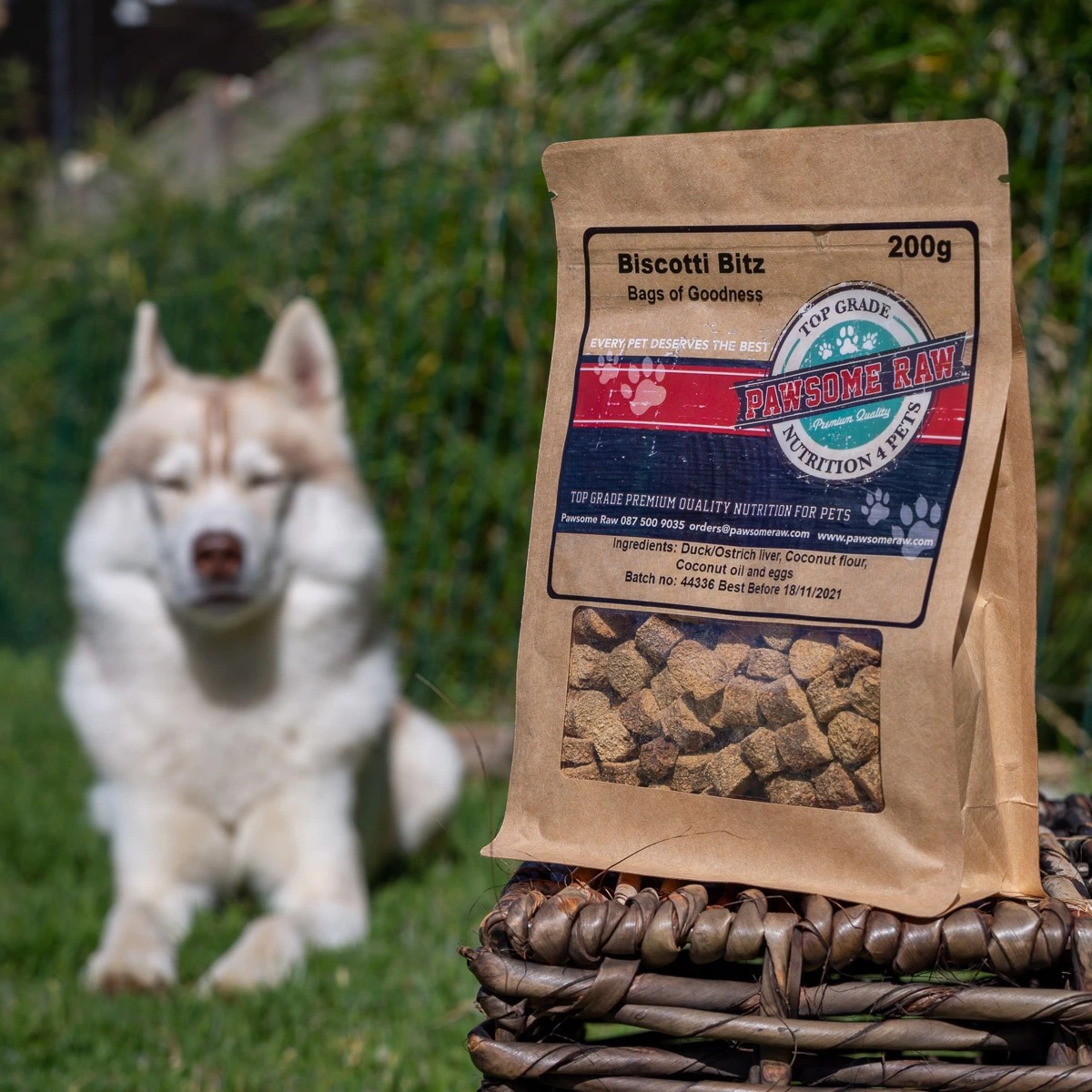 Pawsome Raw The Raw Food Revolution Pets24