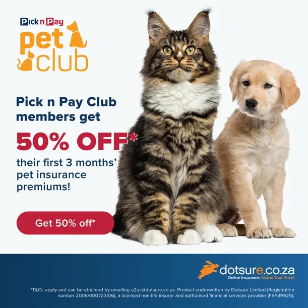 Unleash the Savings Pet Insurance Discounts You Don’t Want to Miss! Pets24