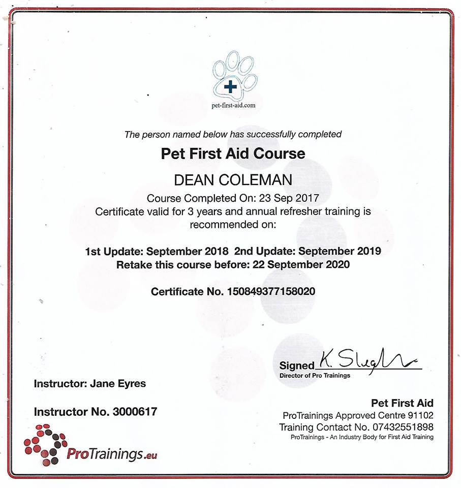 Downloads Pets 4 Transport