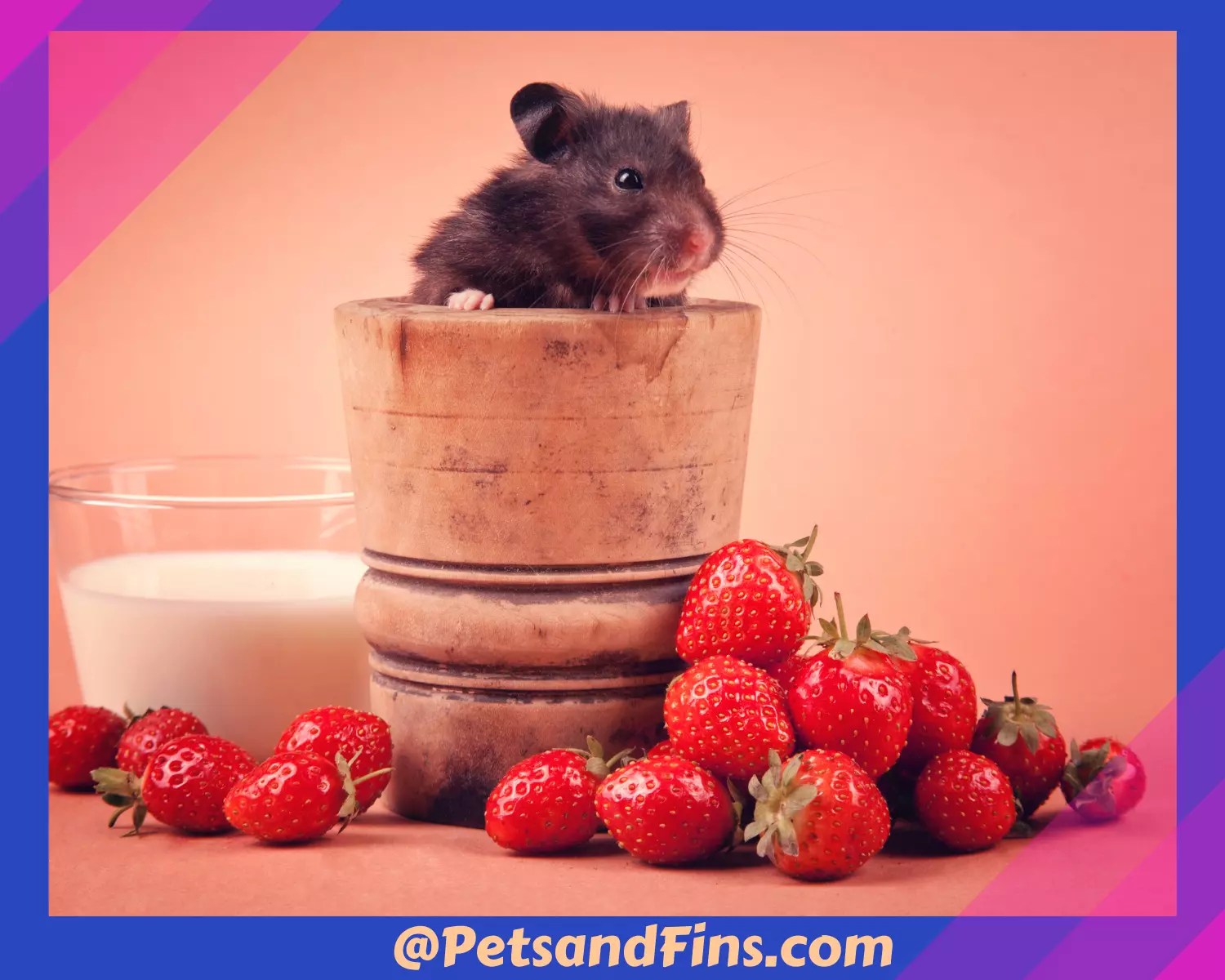 Can Hamsters Eat Strawberries? 18 Benefits You Should Know About! PetsandFins